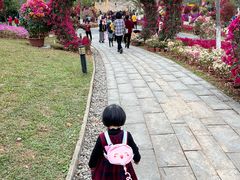 -东莞植物园