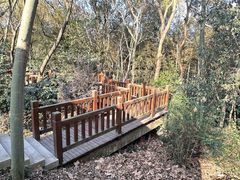 -上海佘山国家森林公园天马山园