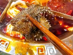 -大龙火锅(老店)