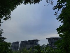 -小南山公园
