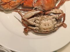 -冀粤香海鲜自助餐厅(西美五洲店)