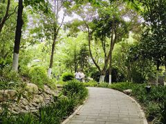 -成都市活水公园