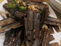 -鸿达渔港