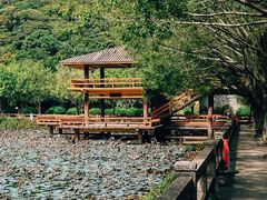 -李小龙乐园(顺德均安店)