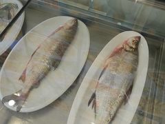 -掌勺人鱼馆(朝阳镇店)