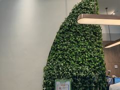 -中间带医疗(成都旗舰店)