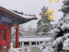 -文庙