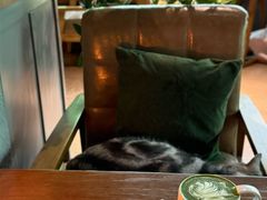 -咖法森林·咖啡  酒吧(天河店)