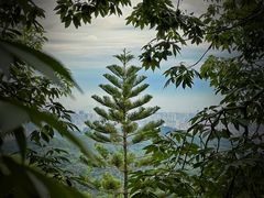-广州市白云山风景名胜区