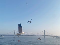 -大连君悦酒店