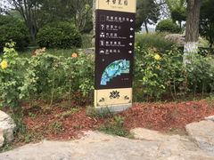 -丰台花园