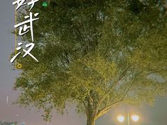 -武昌江滩