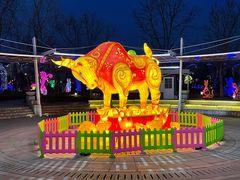 -南宫五洲植物乐园