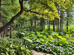-云龙湖旅游景区