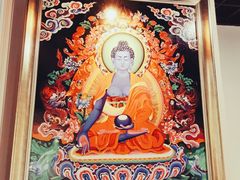 -哆趣宠物医院·眼科·内镜·急重症转诊中心(上海店)