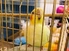 -潇湘·永州会馆(百子湾店)