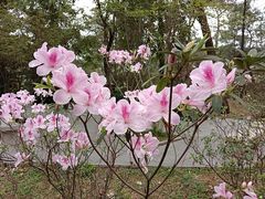 -烈士陵园(地铁站)