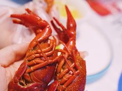 -洪福龙虾