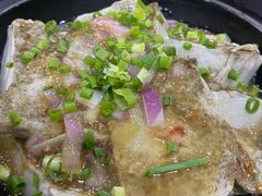 豆腐-红日饭店(裕隆三路店)