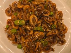 -七菜馆·东北菜·蒸饺(文体路店)