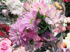 -爱尚幸福鲜花(上地实体店)