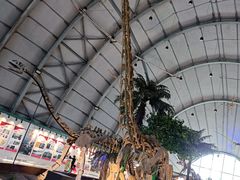 -辽宁古生物博物馆