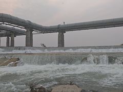 -绿堤公园
