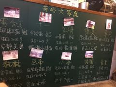 -喵屿·大理花园猫咖