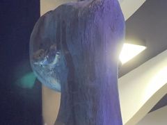 -春天国际影城(中庚漫游城杜比全景声店)