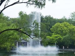 -上海共青森林公园