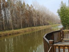 -黄海国家森林公园