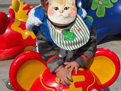 -证大大拇指广场(芳甸路店)