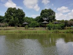 -梁鸿国家湿地公园