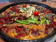 -老板恋上鱼(恒隆广场店)