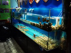 -高家烧鸽子烧烤店63年