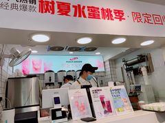 -树夏(建设路店)