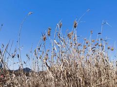 -鼓楼(西湖风景名胜区)