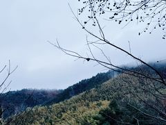 -南岳衡山风景名胜区