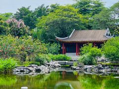 -顺峰山公园