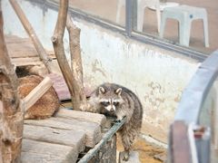 -济南野生动物世界