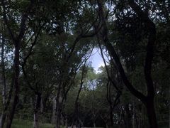 -燕晗山郊野公园