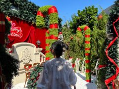 -Lamant Manor已闻花名關於藍