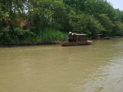 -溱湖国家湿地公园