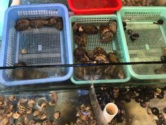-林记海鲜排档·十年海鲜地标