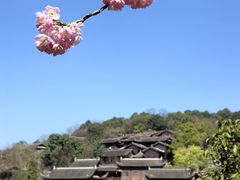 -重庆园博园