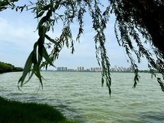 -艾溪湖湿地公园