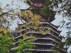 -阿哈湖国家湿地公园