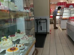 -蒲公英(五里店)