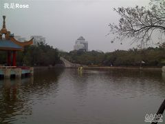 -金砂公园