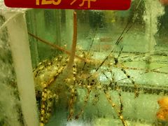 -海龙渔村(万江分店)